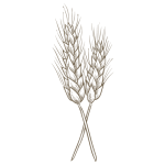 Wheat Logo