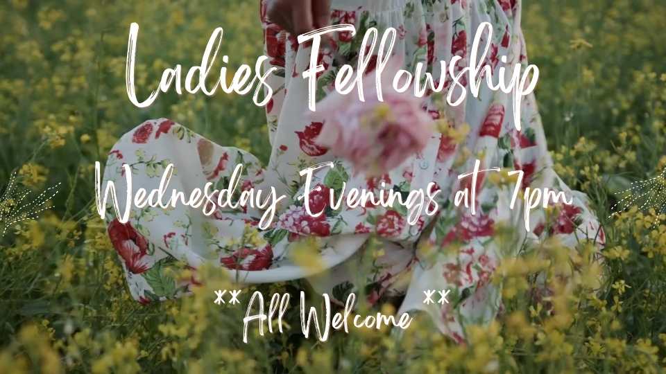 🌸 Ladies Fellowship Night 🌸
